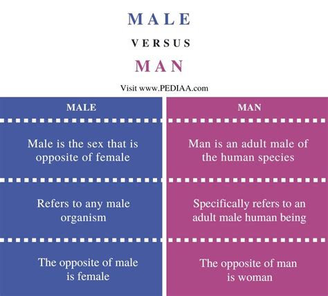 man or men|Difference between Men and Man .